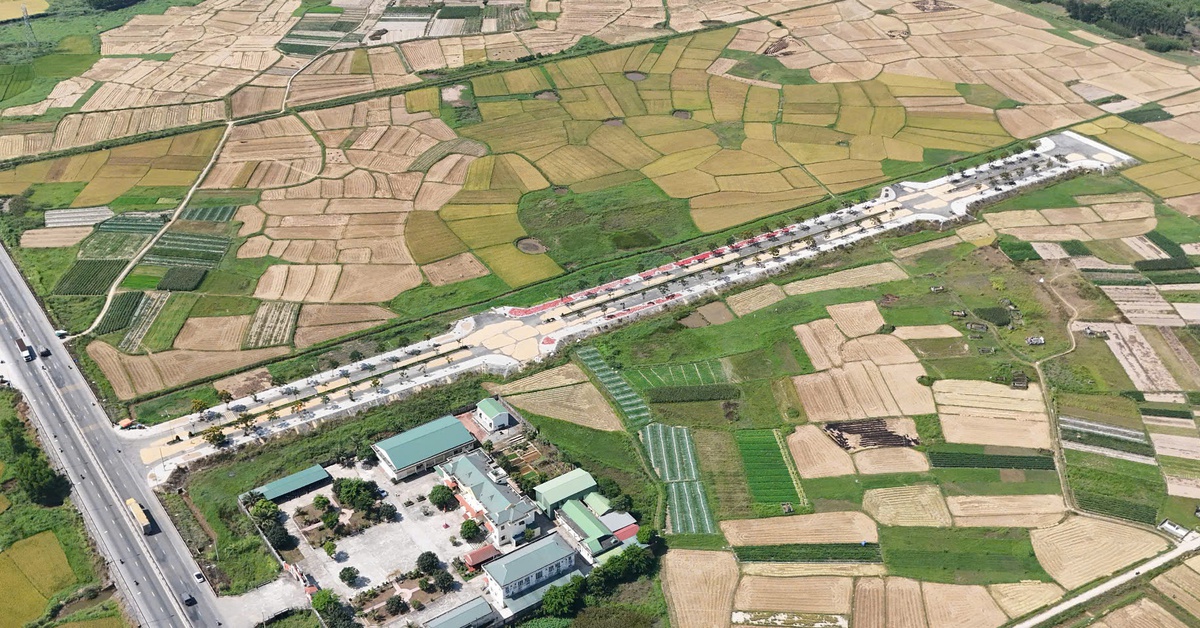 tuoitre.vn