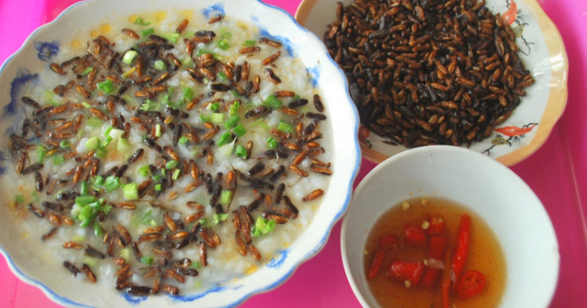 Mối cánh rừng Trường Sơn: Món đại ngàn ngon nức nở