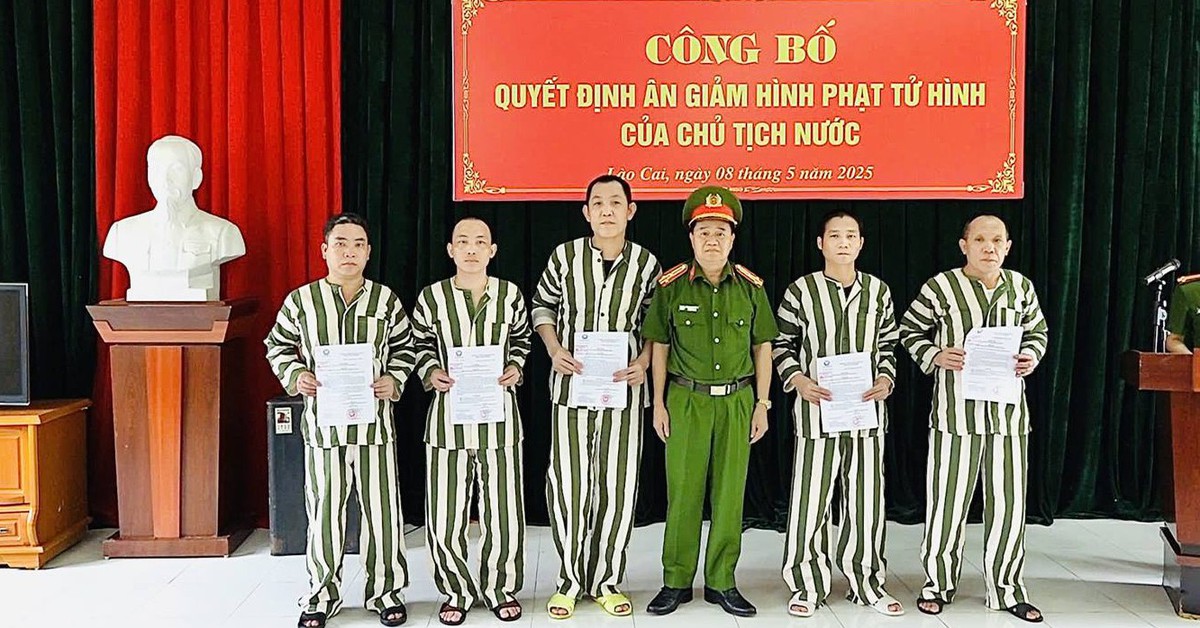 tuoitre.vn
