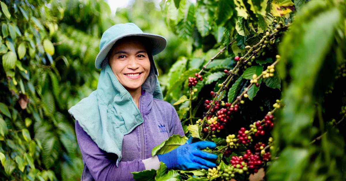 Hàng Việt liệu có đủ sức cạnh tranh trên sàn thương mại điện tử?