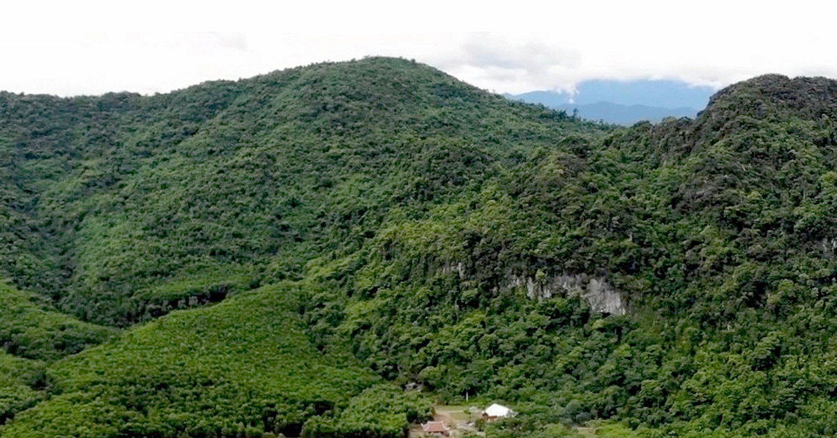 60 người vào rừng tìm người đàn ông mất tích khi đi săn mật ong