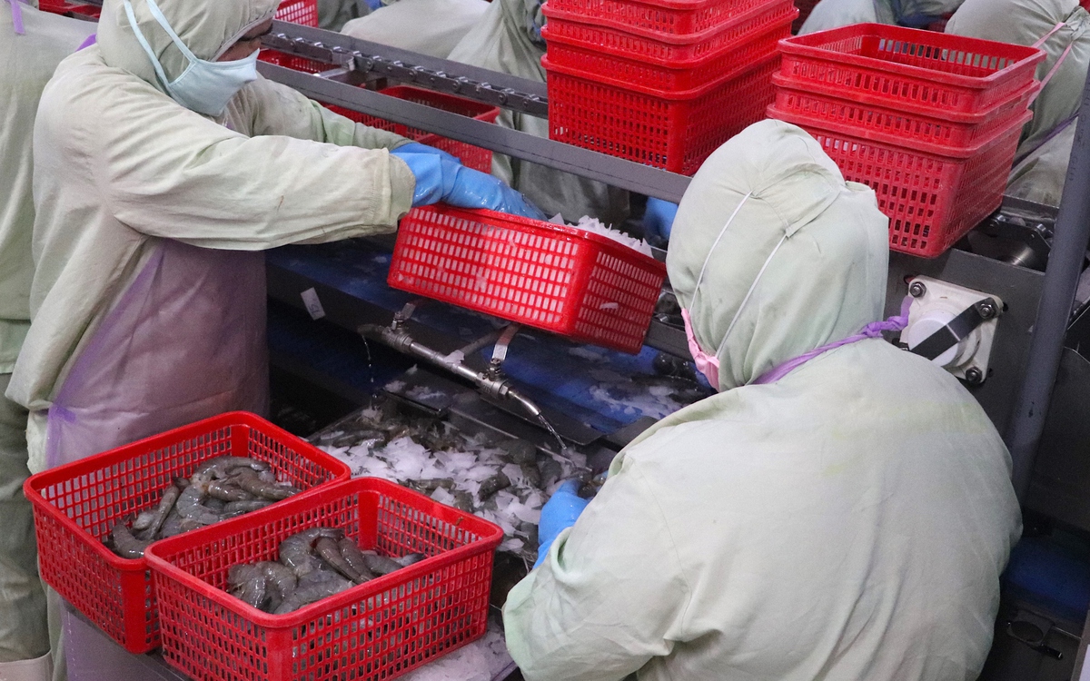 Từ tôm đến gỗ, nhiều doanh nghiệp Việt tăng tốc giao hàng sang Mỹ