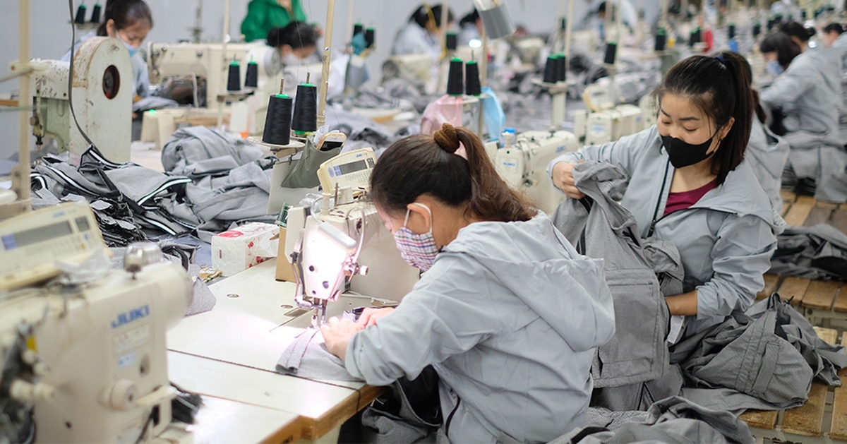 Một công ty may giảm 1.300 nhân sự, nay phát hành cổ phiếu để… trả lương