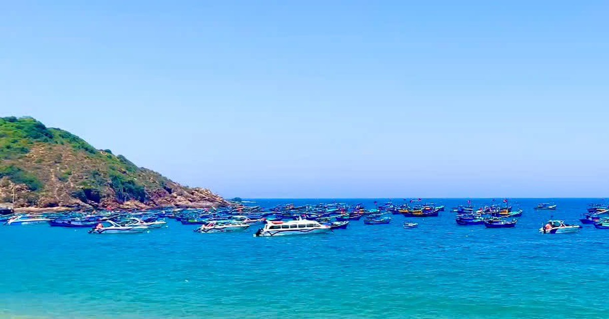 Ca nô du lịch ở Bình Định hoạt động sao cho an toàn?