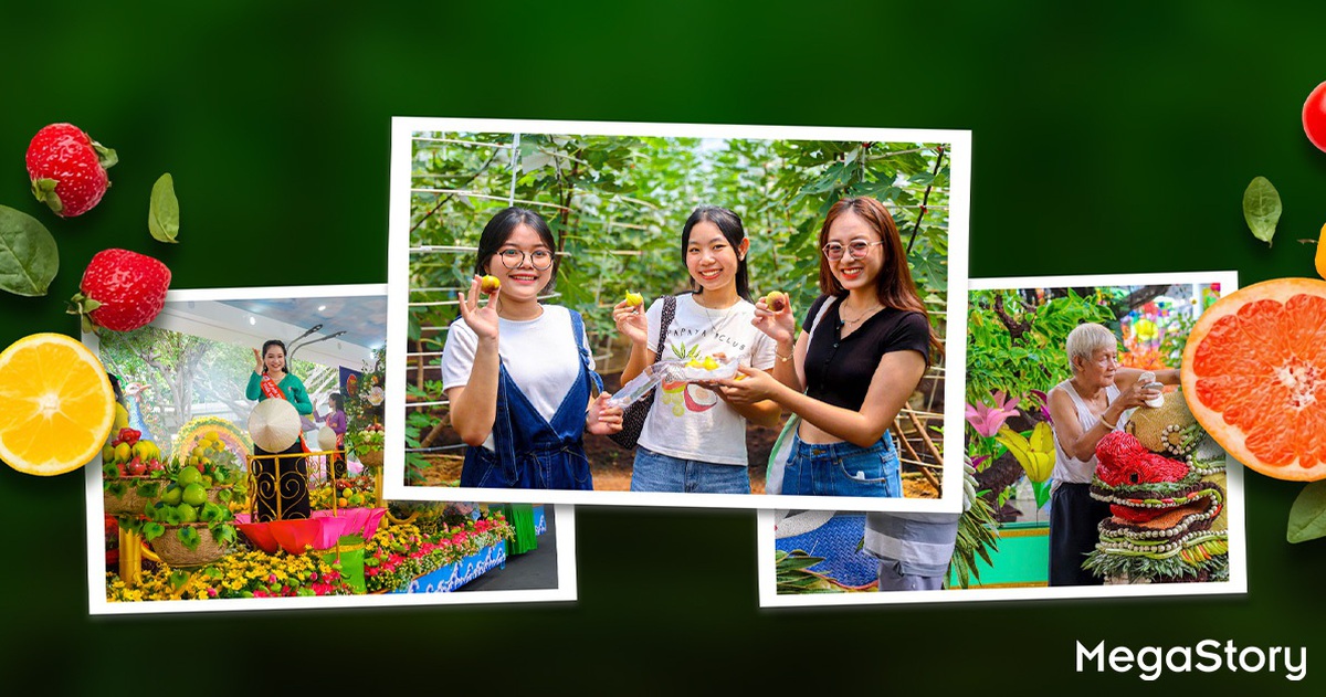 Lễ hội trái cây Nam Bộ 2025: từ mùa vụ đến văn hóa