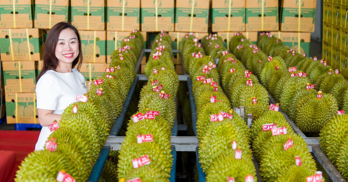Trung Quốc phê duyệt thêm gần 1.000 vùng trồng và cơ sở đóng gói sầu riêng Việt Nam