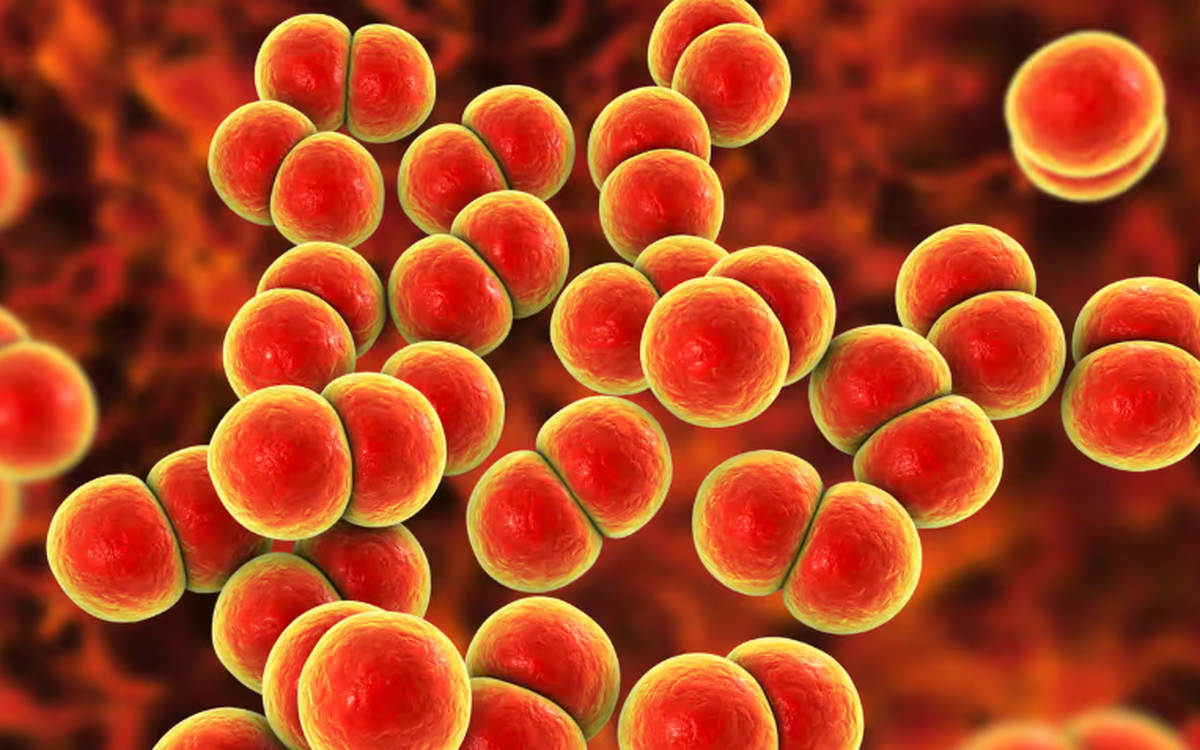 Anh triển khai vắc xin ngừa lậu đầu tiên trên thế giới