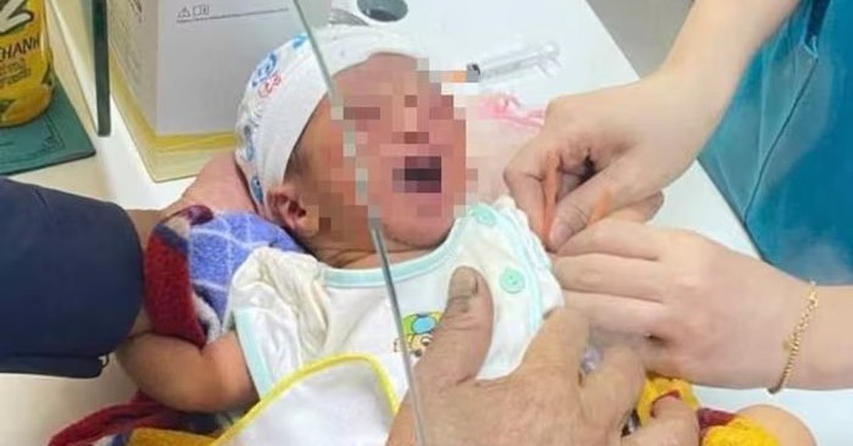 Tìm cha mẹ của bé gái sơ sinh bị bỏ rơi ở cánh đồng