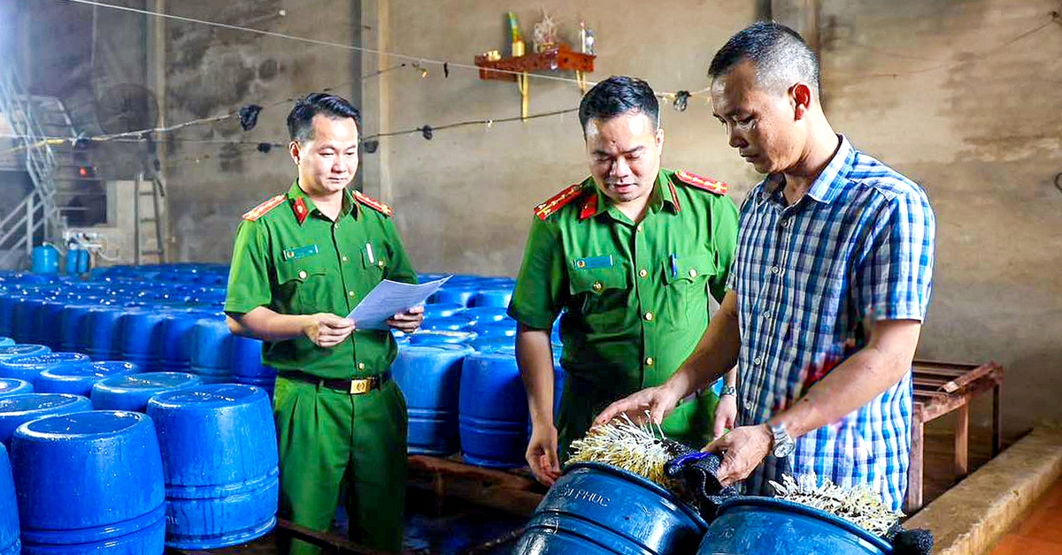 Vụ 60 tấn giá đỗ 'tắm nước kẹo': Chiêu trò đầu độc người tiêu dùng