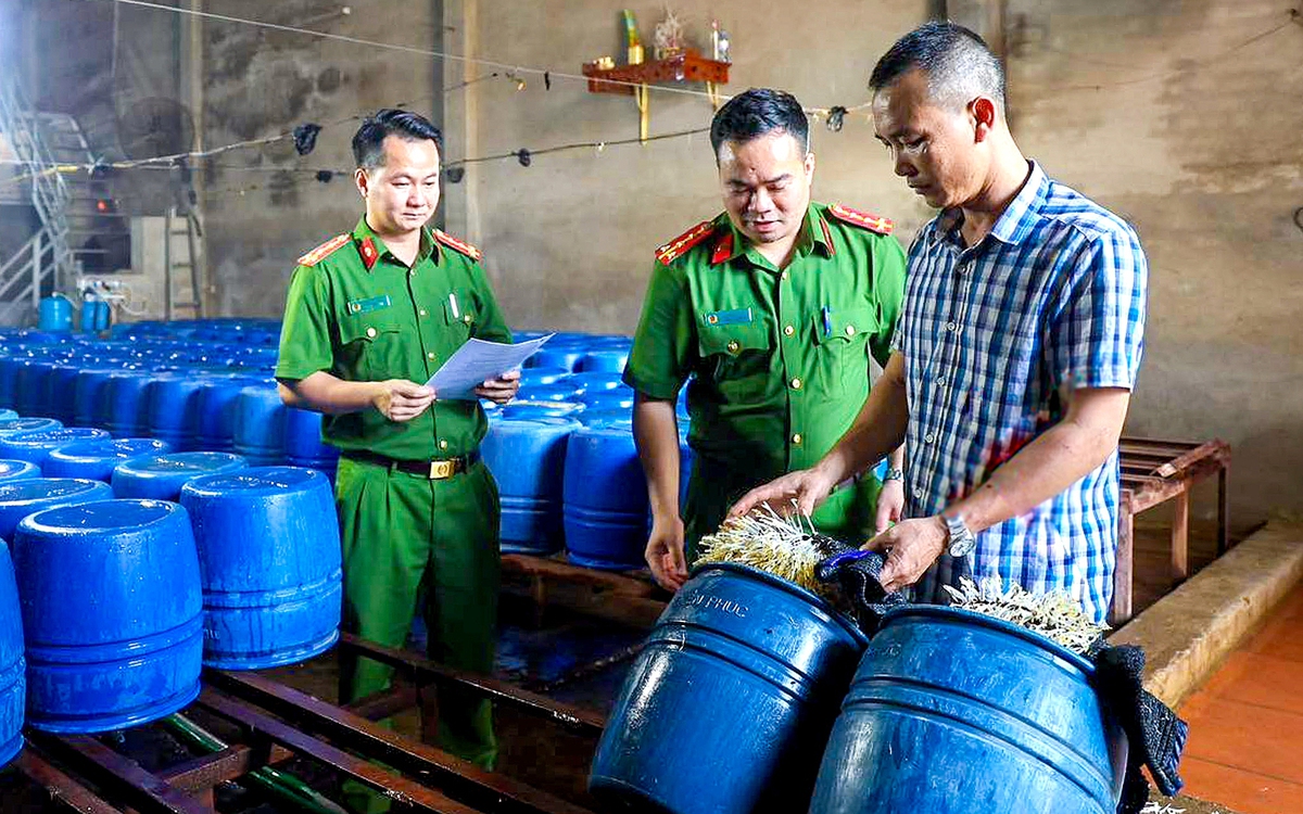 Vụ 60 tấn giá đỗ 'tắm nước kẹo': Chiêu trò đầu độc người tiêu dùng