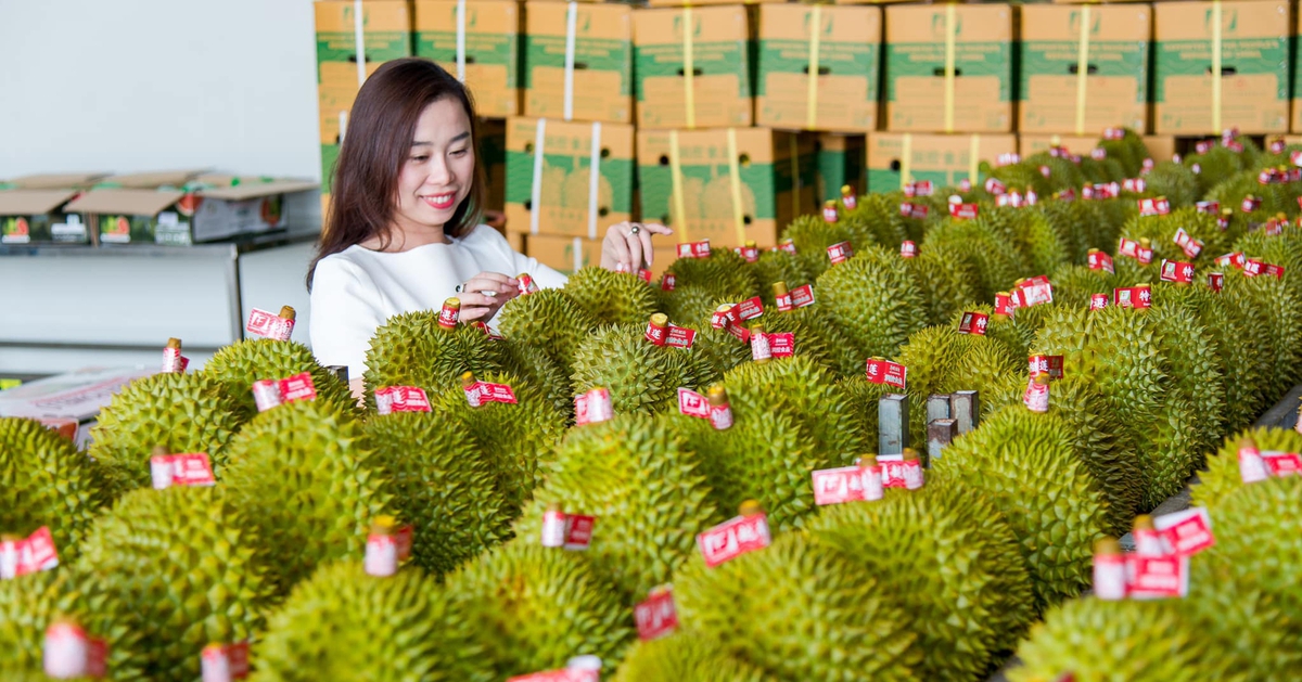 Thủ tướng chỉ đạo loạt nhiệm vụ siết quản lý để thúc đẩy xuất khẩu sầu riêng