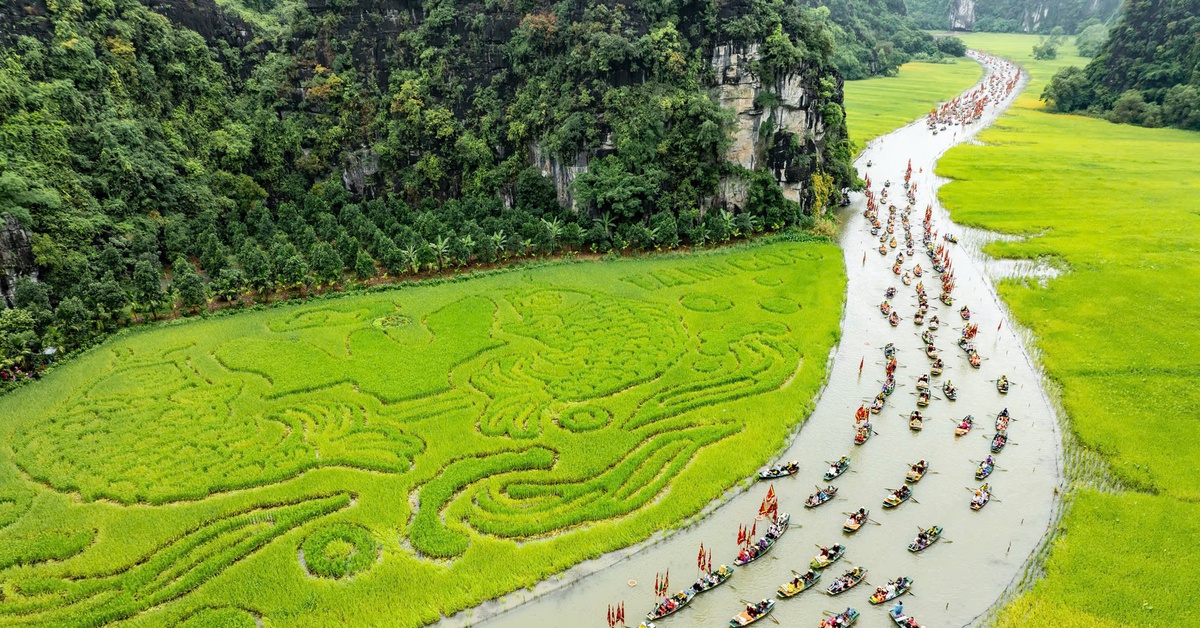 Lúa chín gọi mời, Ninh Bình khai hội ‘Sắc vàng Tam Cốc - Tràng An’