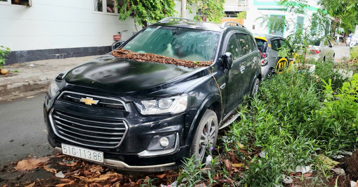 Thêm xe hơi 7 chỗ đậu bên đường mặc nắng mưa suốt 2 năm không ai nhận