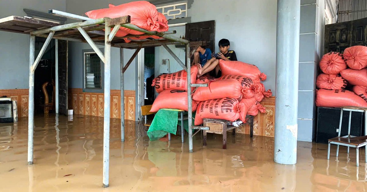 Vào một 'rốn lũ' ở Hà Tĩnh, cả thôn ngập sâu trong nước, thiệt hại tài sản lớn