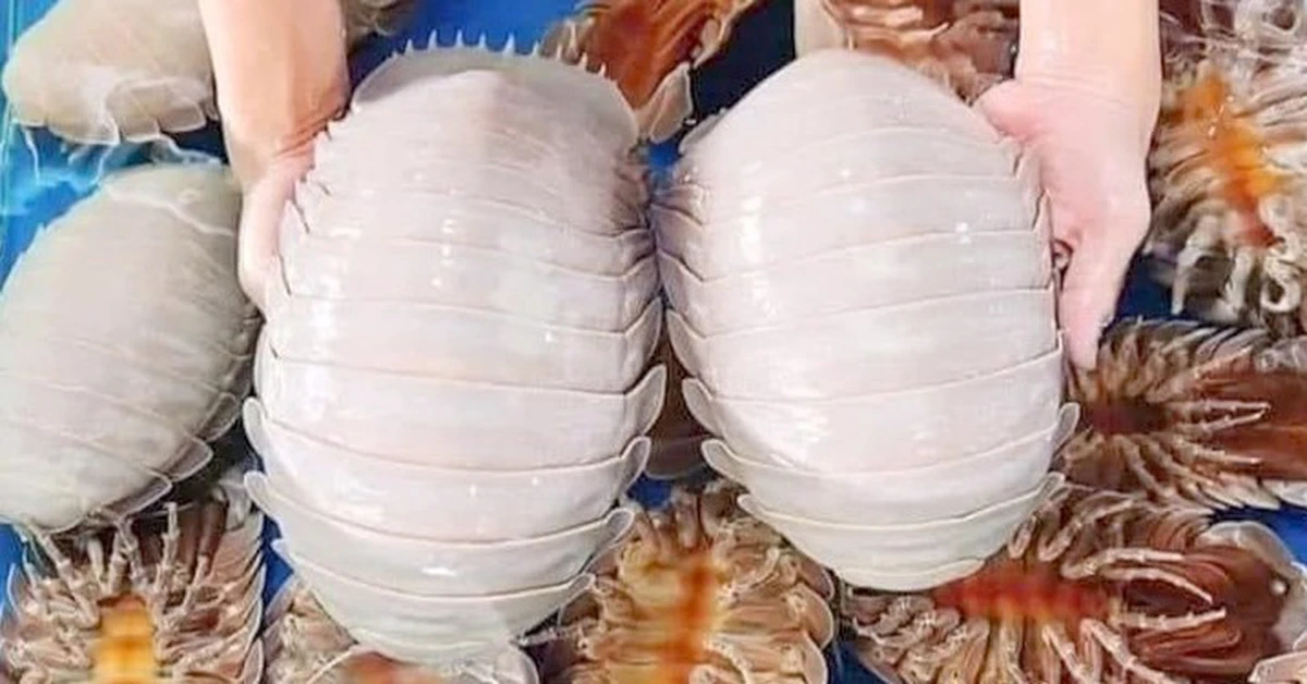 tuoitre.vn