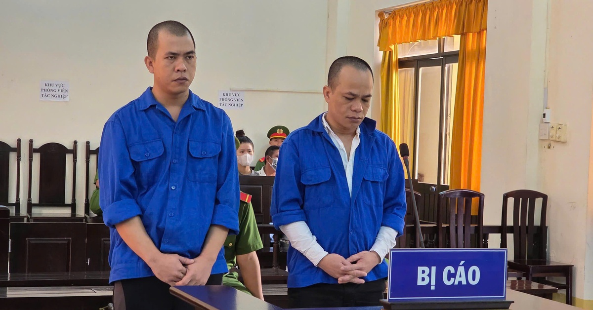 Hai anh em lãnh hơn 7 năm tù vì tắt thiết bị giám sát trên biển