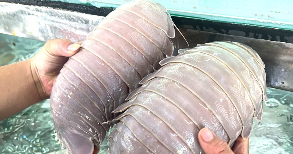 tuoitre.vn