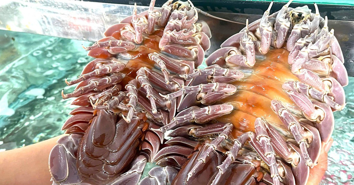 Vụ ăn bọ biển giá 1,8 triệu đồng/kg rồi tố 'chặt chém': Người đăng đã xóa bài và... biến mất