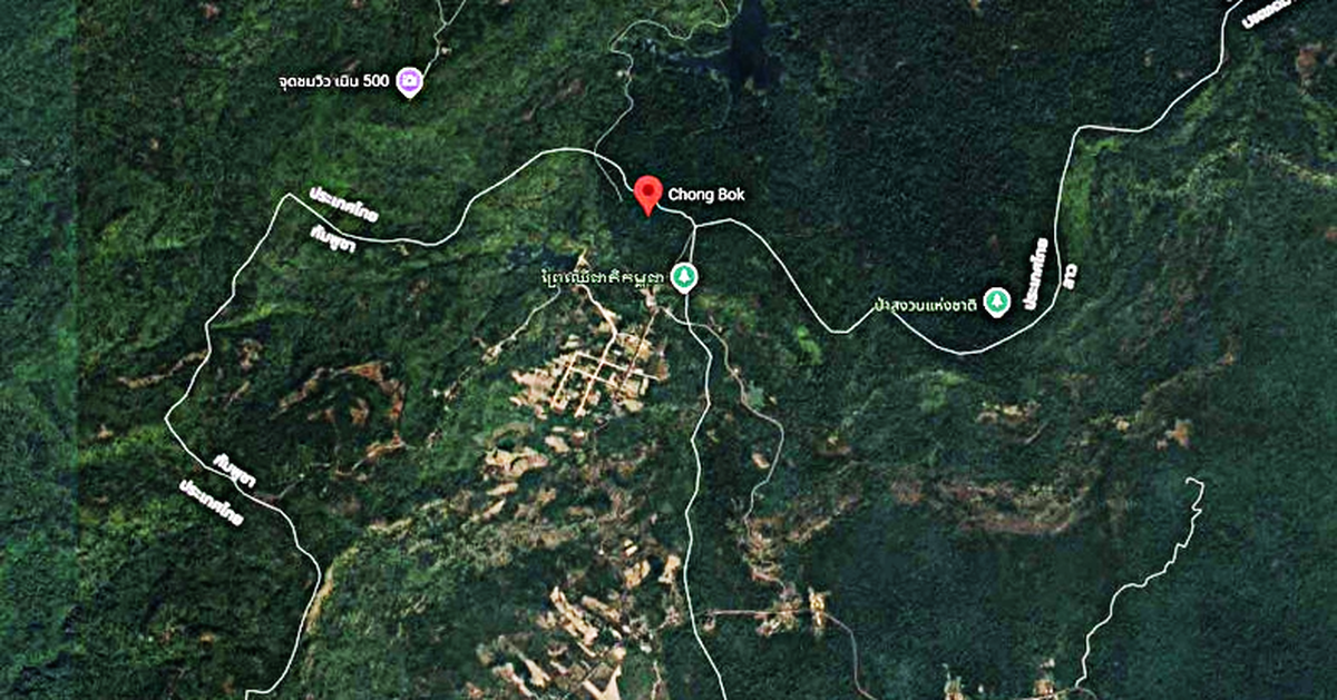 tuoitre.vn