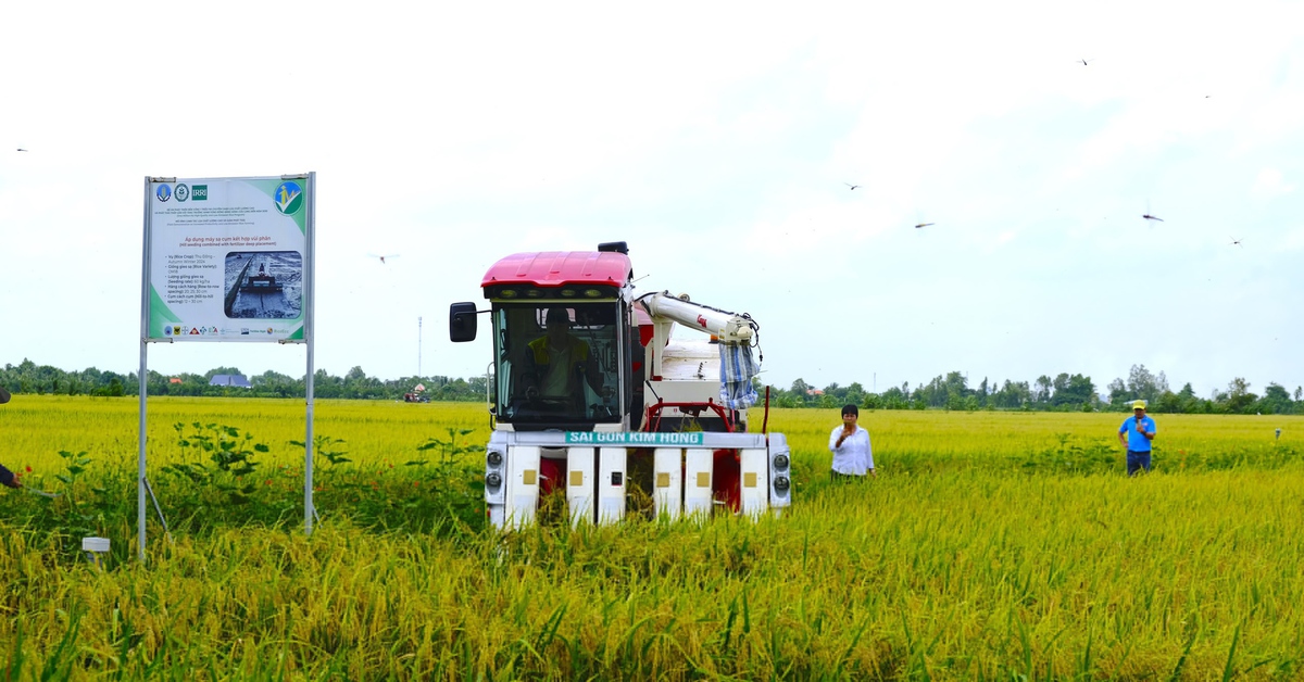 Mô hình thí điểm đề án 1 triệu ha lúa chất lượng cao, giảm phát thải cho hiệu quả bất ngờ