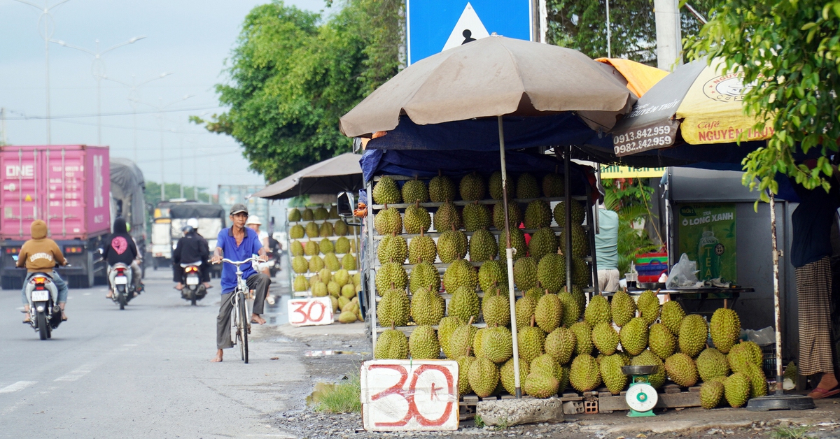 Chất lượng nông sản Việt Nam: Trách nhiệm, hệ lụy và giải pháp