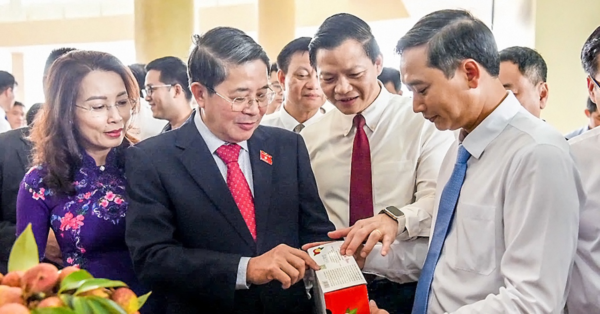 Đề nghị tạo "luồng xanh" cho vải thiều Bắc Giang vào Trung Quốc