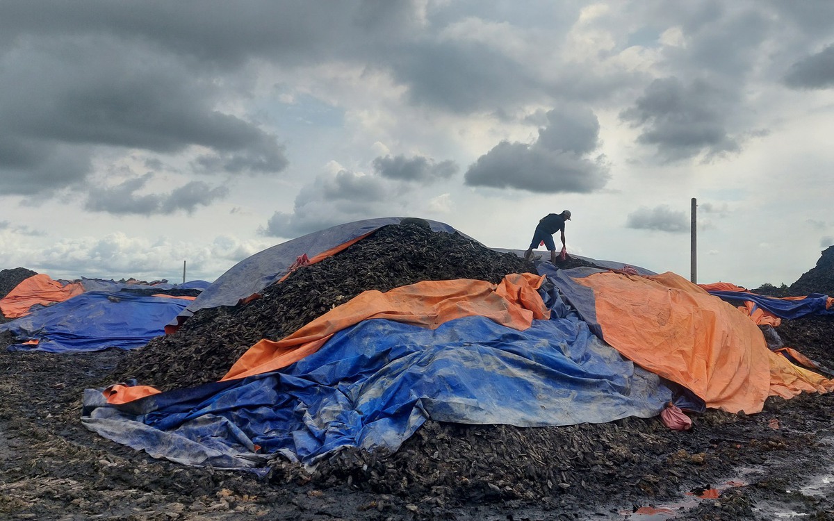 Công ty núp bóng sản xuất giá thể hữu cơ lưu chứa hàng ngàn tấn chất thải ô nhiễm