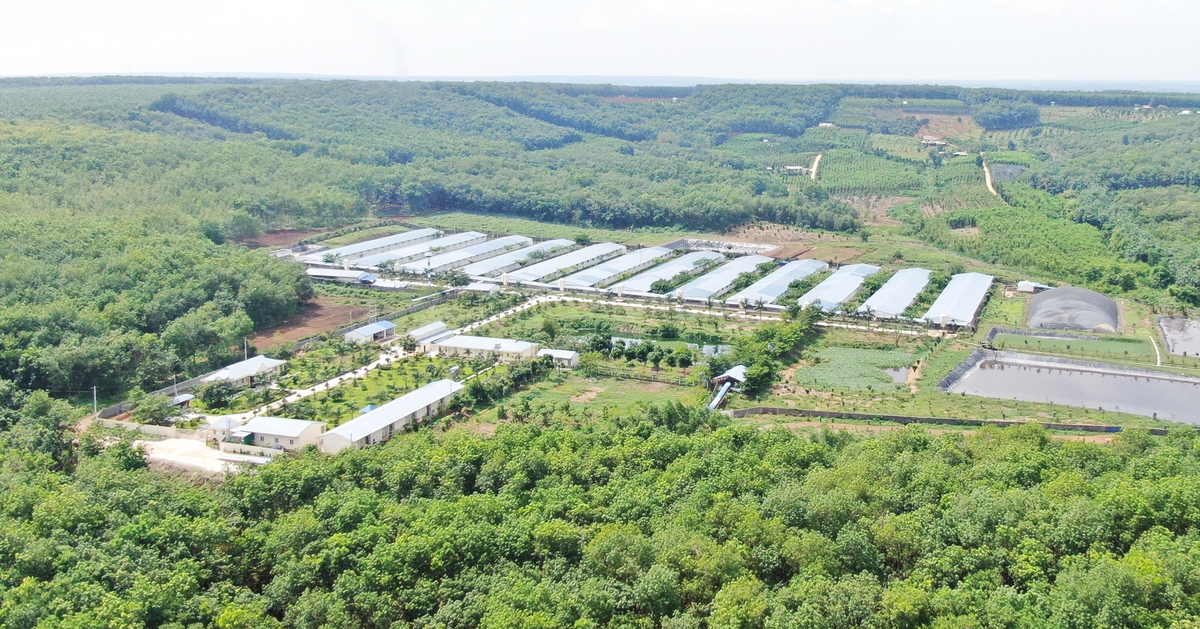 Doanh nghiệp tăng lợi thế từ xanh hóa hoạt động sản xuất