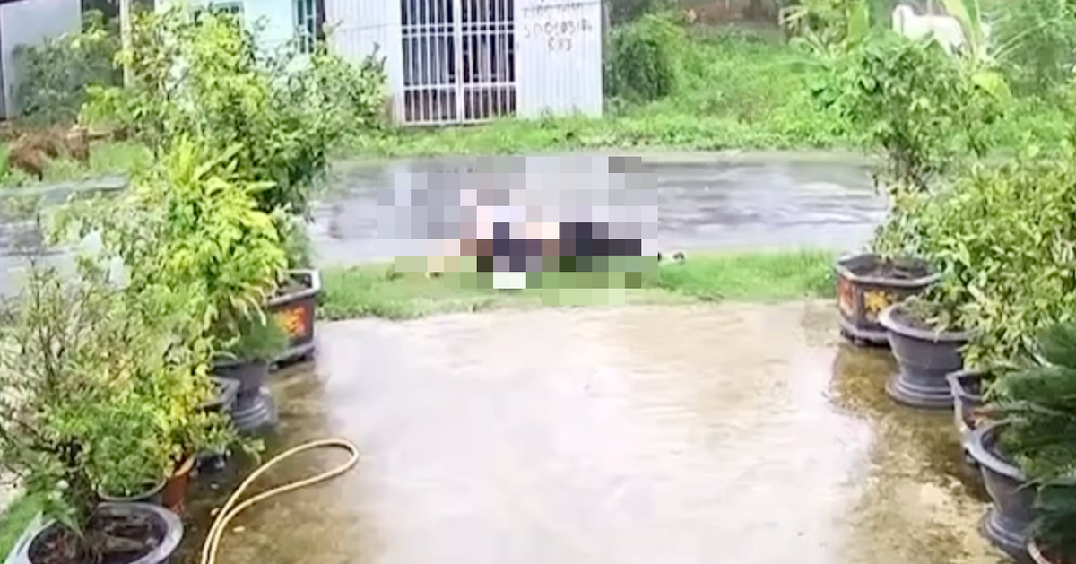 tuoitre.vn