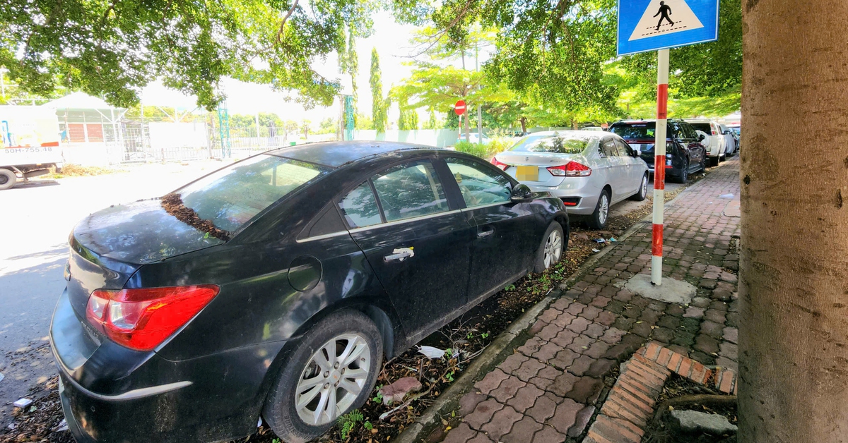 Ô tô chôn bánh bên đường quận Bình Thạnh, cây mọc trên cả kính xe