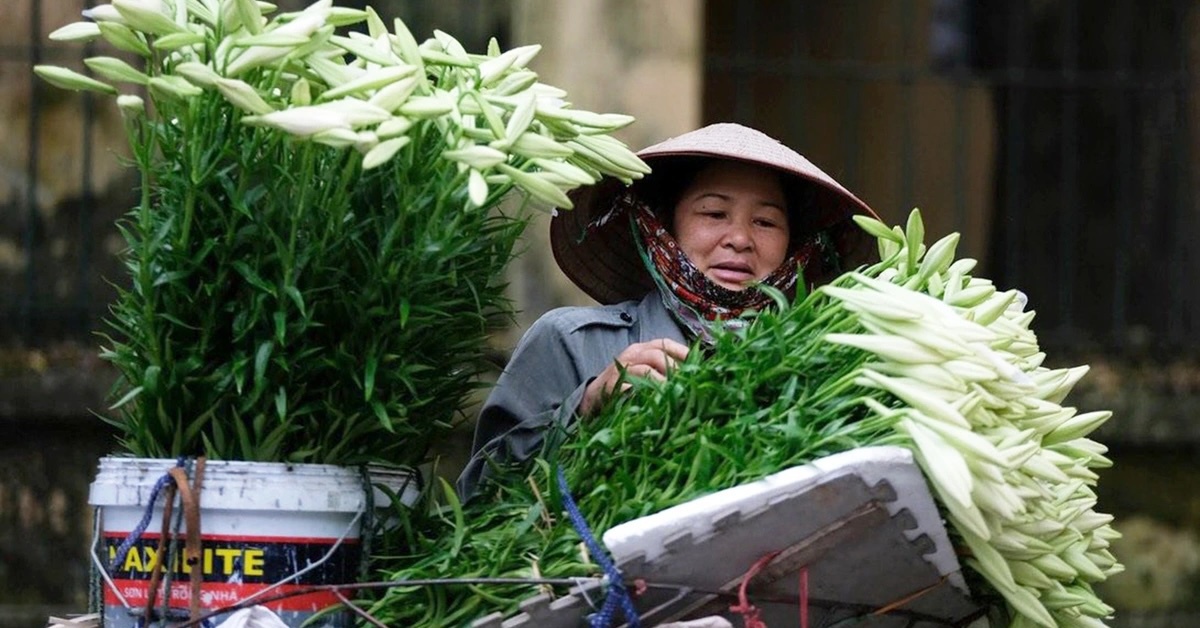 tuoitre.vn