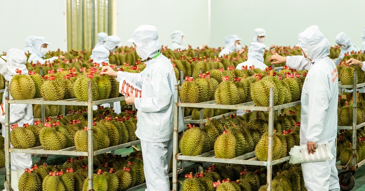 Thủ tướng chỉ đạo 5 bộ khắc phục tình trạng nông sản được mùa mất giá