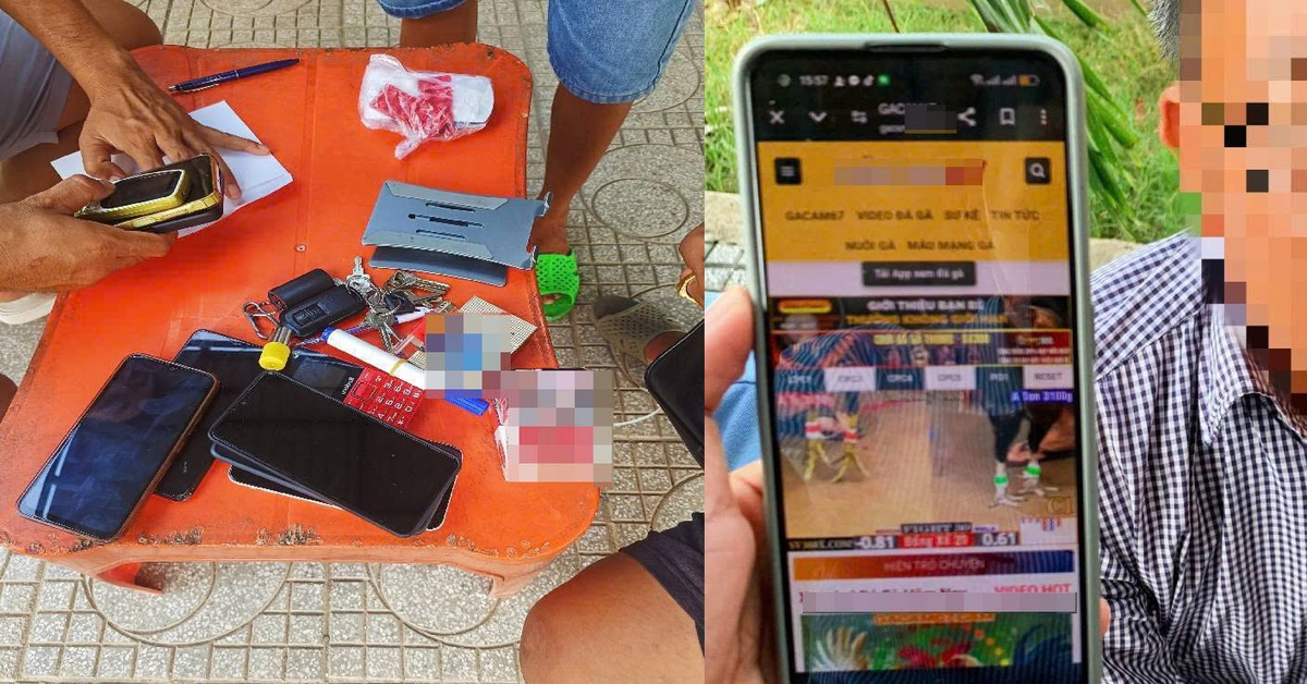 Bắt quả tang 19 người tham gia đá gà qua mạng