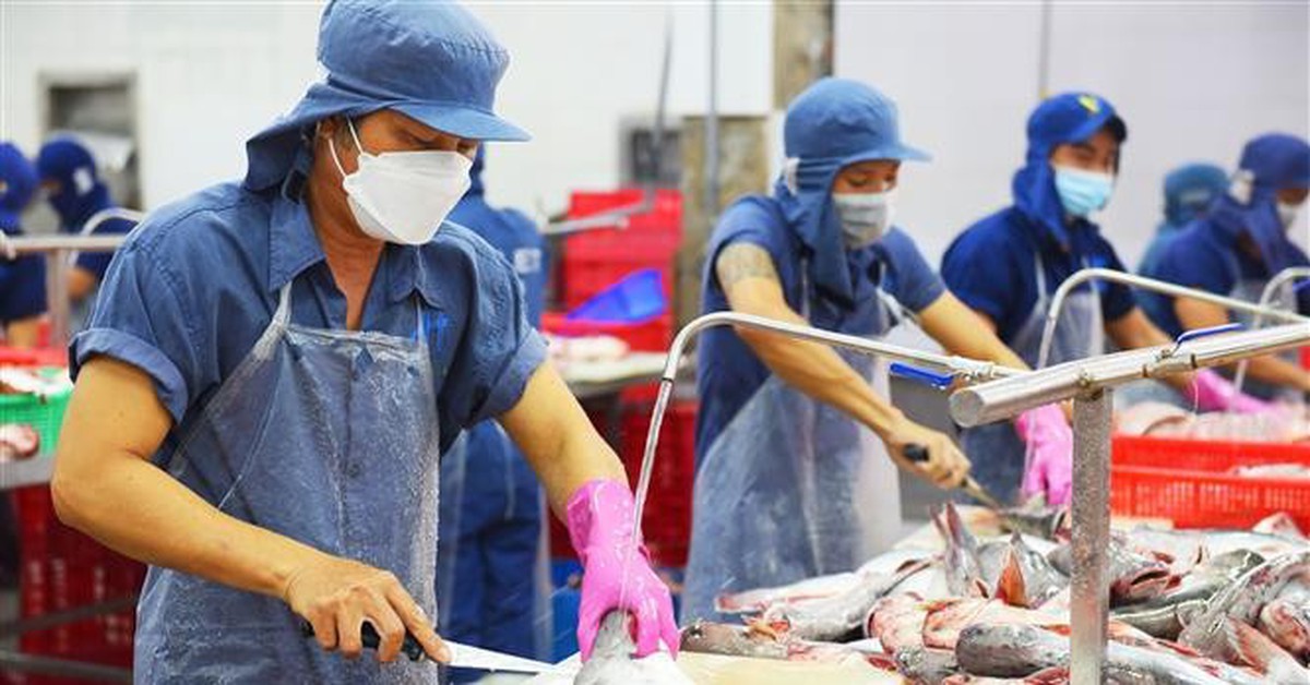 Doanh nghiệp thủy sản 'chạy đua' xuất khẩu sang Mỹ