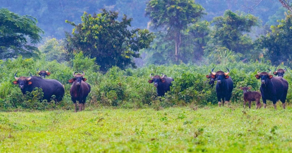 tuoitre.vn