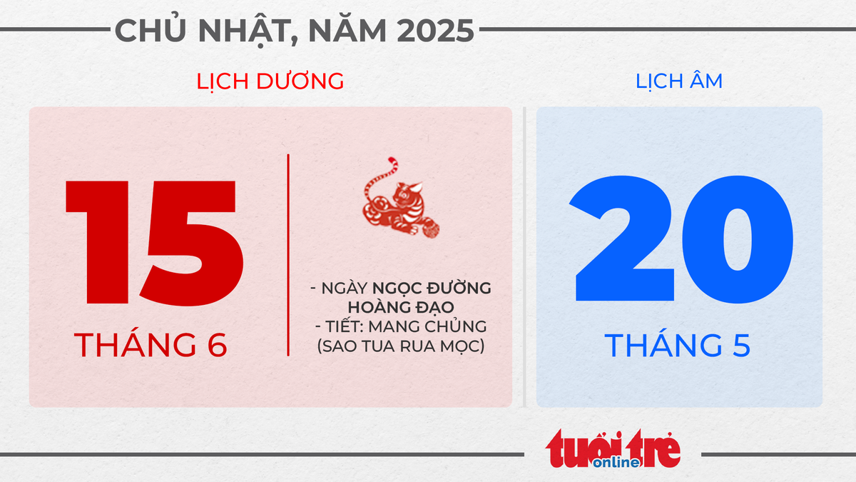 8. Chủ nhật, ngày 15 tháng 6 năm 2025