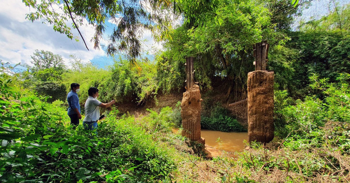 Đánh giá kỹ tác động môi trường khi làm đường kết nối Bình Phước với Đồng Nai