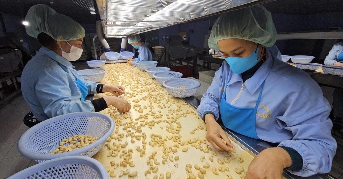 Lỗi hệ thống tờ khai, Cục Hải quan ra văn bản hỏa tốc xử lý sự cố