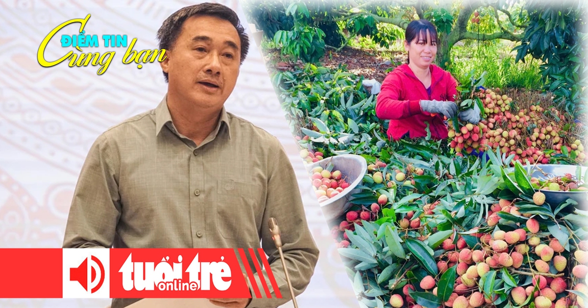 Điểm tin cùng bạn 8h: Bộ Y tế nói về lộ trình miễn viện phí; Trúng tiền tỉ nhờ vải thiều chín sớm