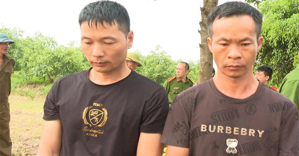 Tạm giữ hình sự hai nghi phạm Trung Quốc xâm phạm lăng mộ vua Lê Túc Tông