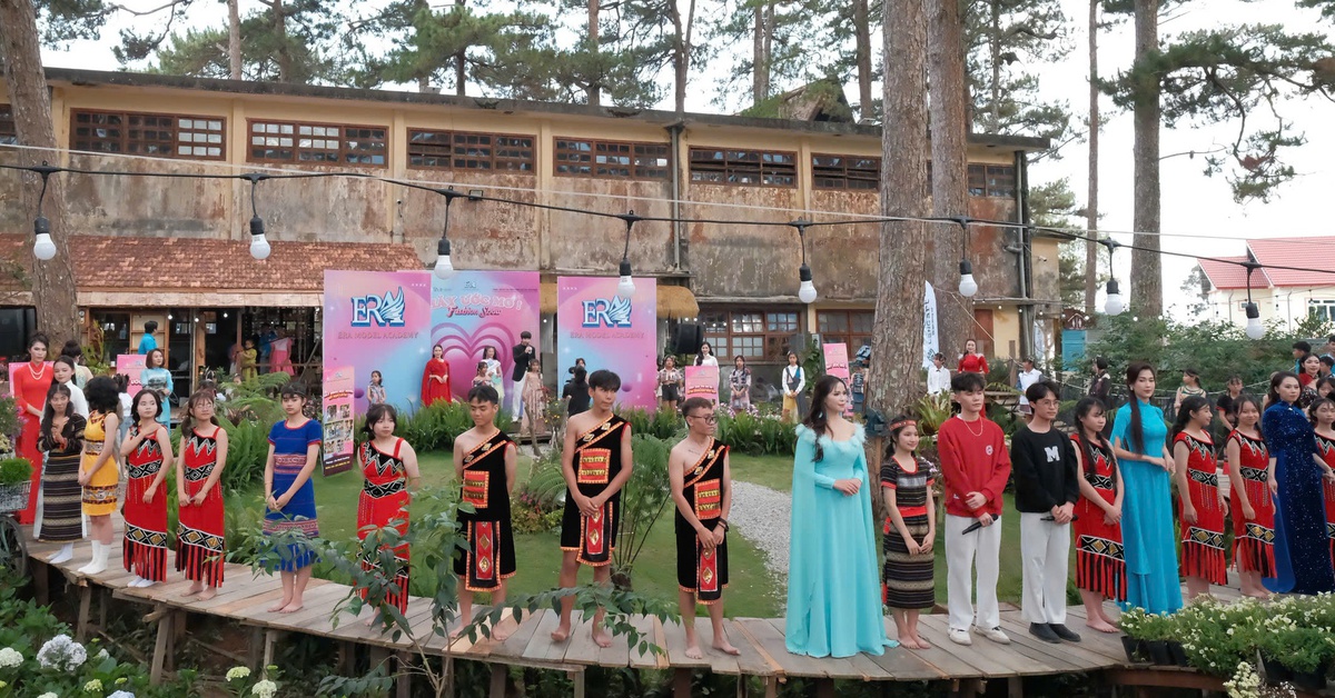 Nơi âm thanh dừng lại, chỉ còn tiếng gió Đà Lạt