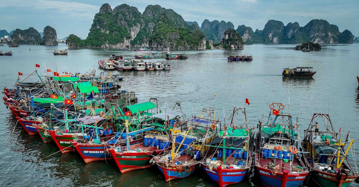tuoitre.vn