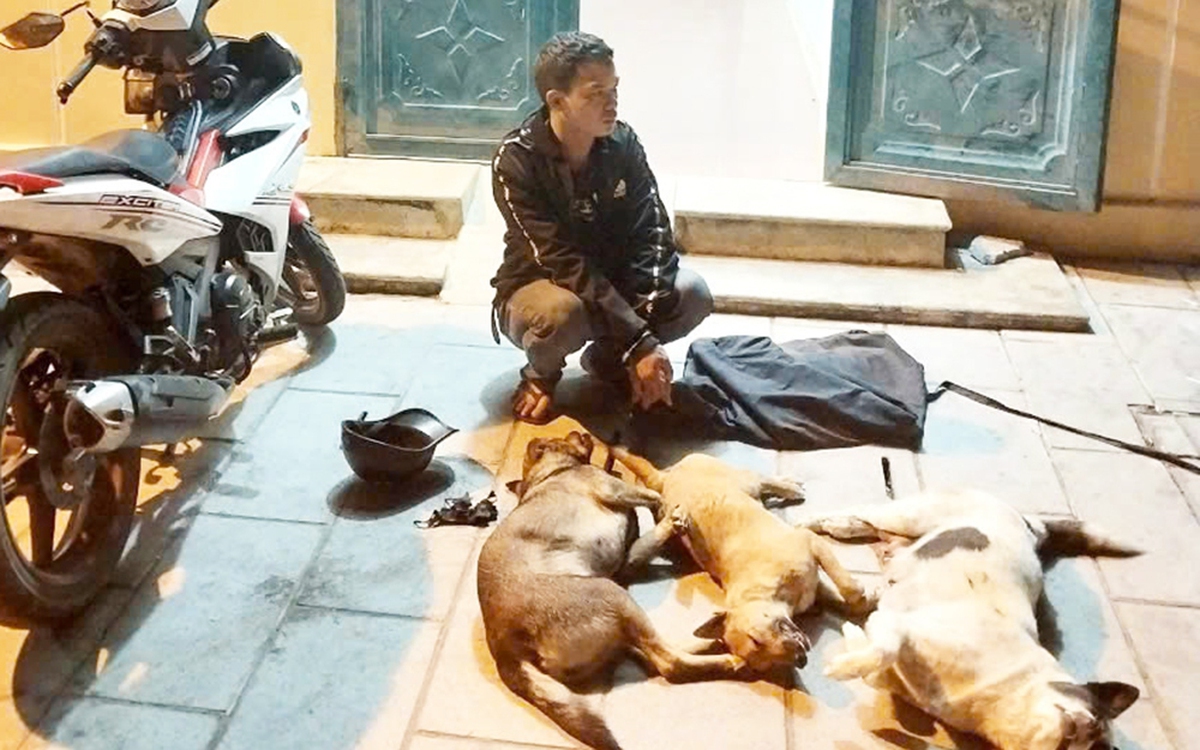 Rảo quanh quốc lộ 1 trộm chó xuyên tỉnh, bị công an xã tuần tra bắt quả tang