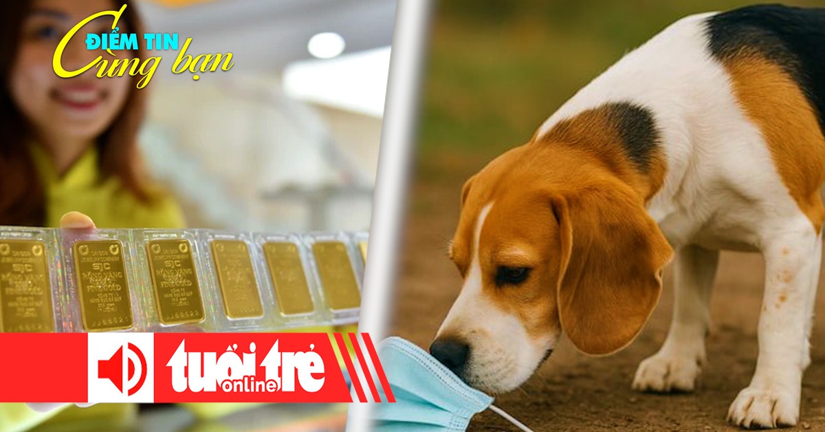 Điểm tin 18h: Giá vàng lên xuống chóng mặt; Chó đánh hơi chính xác 94% ca ung thư