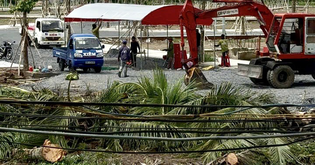 UBND TP Sóc Trăng thua kiện một bác sĩ: Buộc định giá đất theo giá thị trường