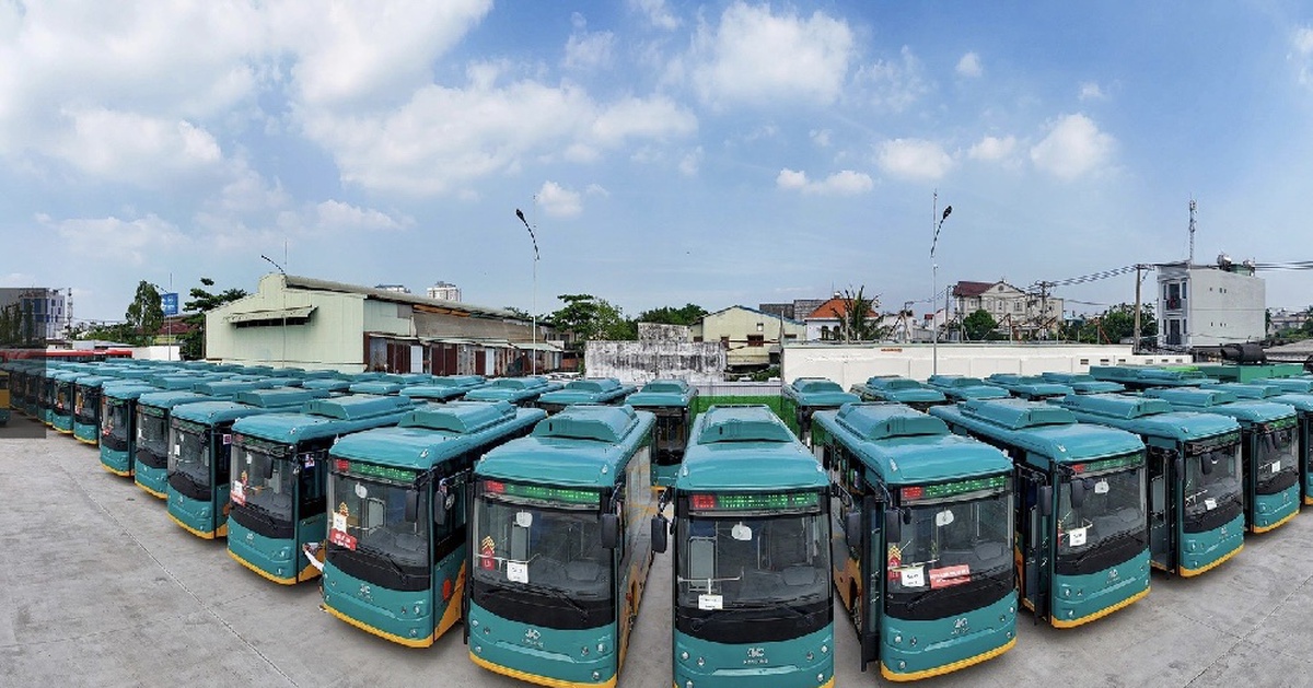 Miễn vé đi 28 tuyến xe buýt ở TP.HCM cho khách thanh toán không tiền mặt ngày 16-6