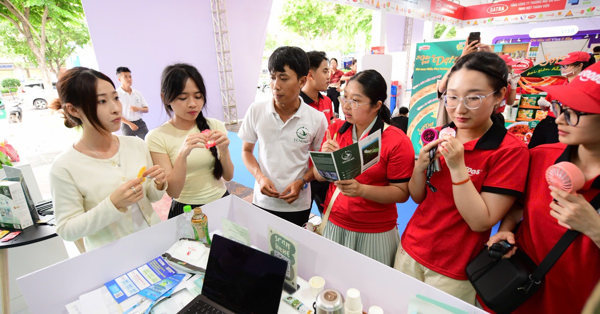 Đến Lễ hội không tiền mặt để thưởng thức cà phê yến, nghe tư vấn sử dụng điện