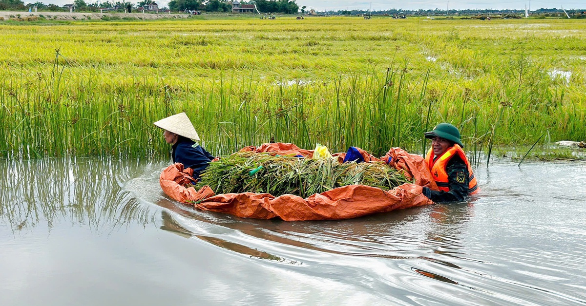 Bộ đội, người dân Huế oằn mình khắc phục mưa lũ