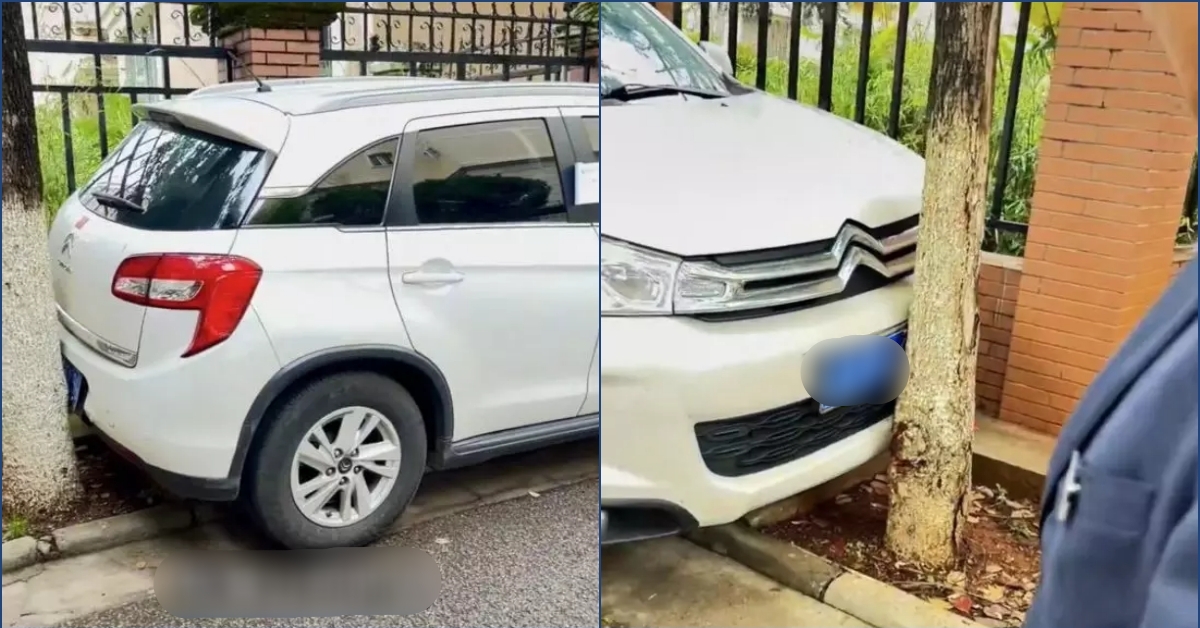 Tài xế lái hộ đỗ xe 'thần sầu' giữa hai cây, chủ xe tỉnh rượu nhìn thấy ngỡ ngàng