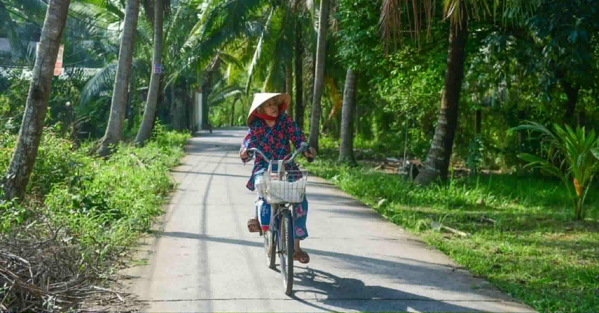 Những bà mẹ nhà quê